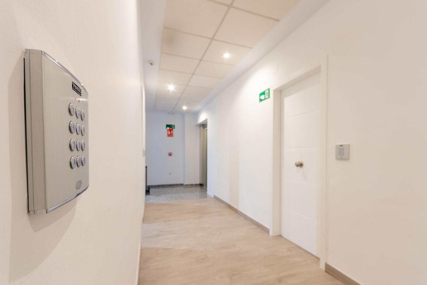 Apartamentos Basilica Santa Eulalia Parking Gratis Merida Exterior foto